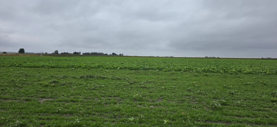 Commercial Property for Sale in Klerksdorp Rural North West